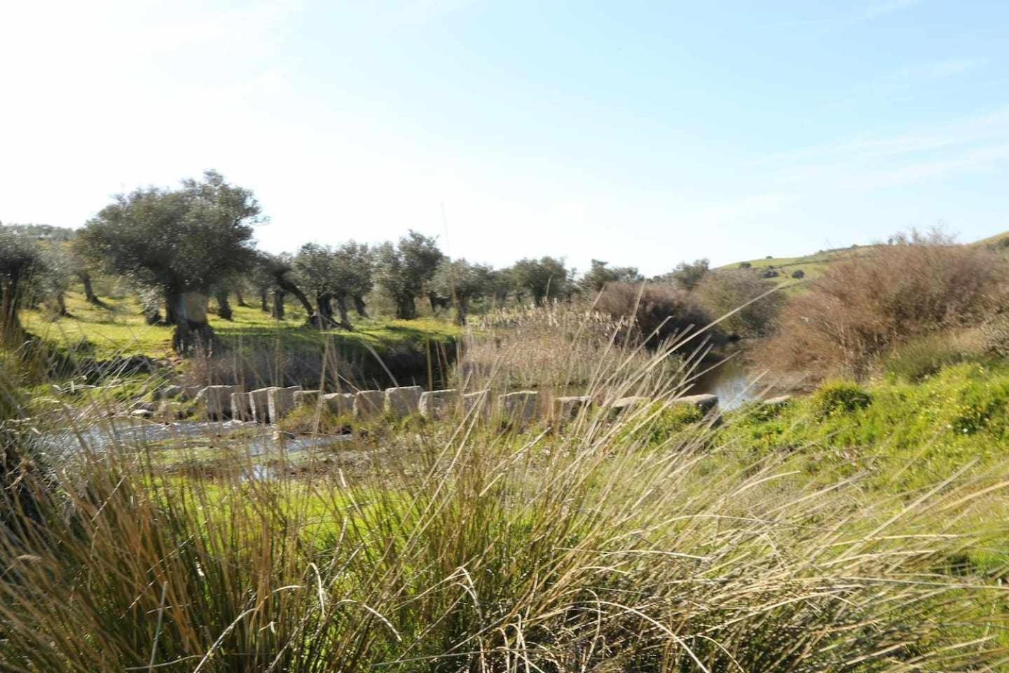 El Olivar Agloipe Ahigal Trcc Exterior foto